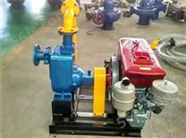 XBC-ZW小型便捷式柴油机应急消防栓泵