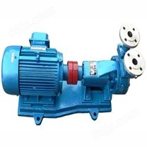 CWB型磁力驱动旋涡泵_DXY磁力泵系列
