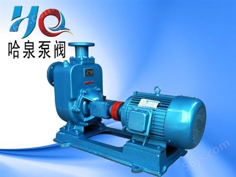 150ZX160-80 ZX专业清水泵厂家