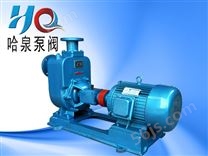 100ZX100-20型无堵塞清水泵 ZX自吸泵厂家
