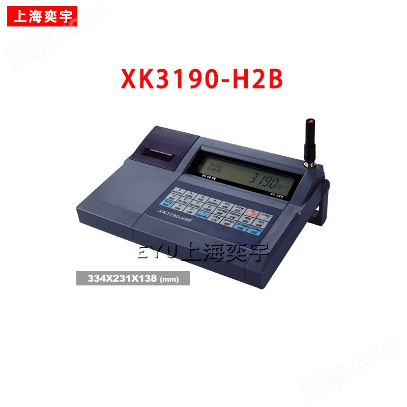 XK3190-H2B吊秤仪表