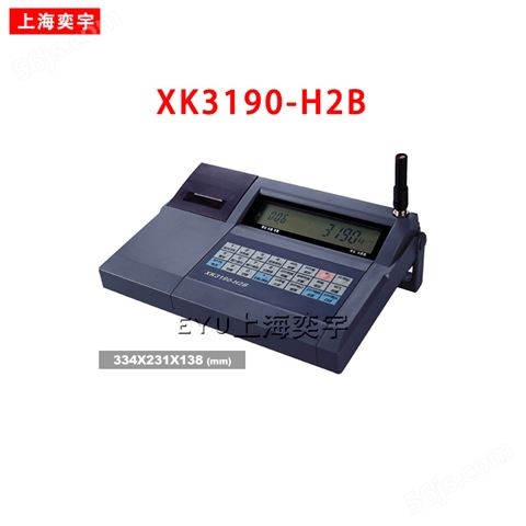 XK3190-H2B吊秤仪表
