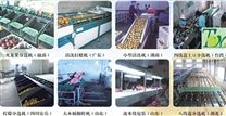 中国台湾吉农牌水果分选机：分类及产地