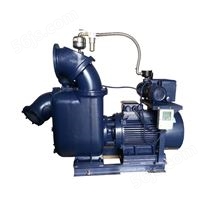 SZX12.1000.25系列强自吸排污泵