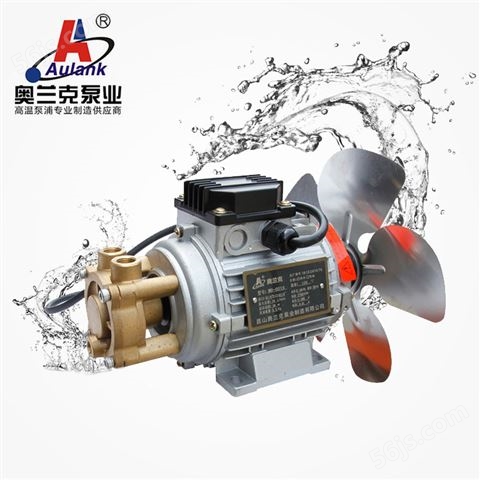 奥兰克RGP-10EX热水泵 耐高温泵 高温循环泵 立式高温泵 高温泵