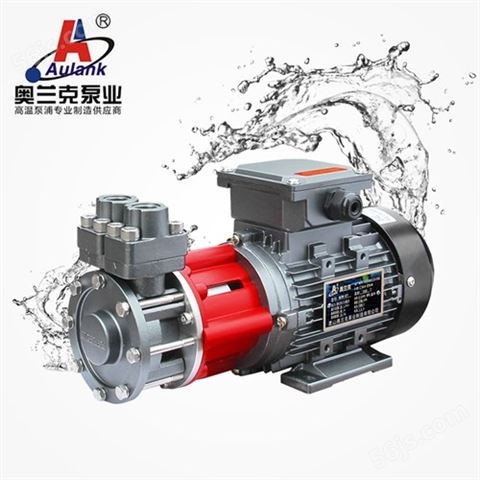 奥兰克Aulank RGZ-20高温循环泵 热水泵品牌 热水离心泵 高温循环泵 立式高温泵