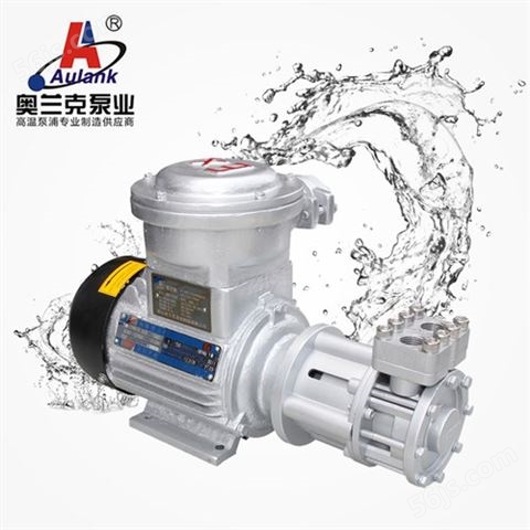奥兰克Aulank RGZ-20高温循环泵 热水泵品牌 热水离心泵 高温循环泵 立式高温泵