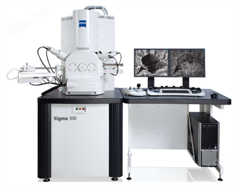 Sigma 300 场发射电子显微镜