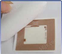 抗静电RFID 电子标签