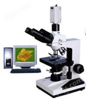 BM-80系列     生物显微镜