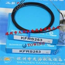 KGN中国台湾飞泰光纤传感器