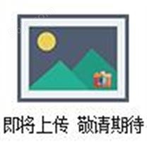 高精度中国台湾电子秤，计重电子秤