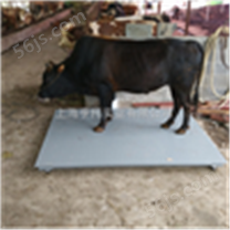养猪场3吨动物电子秤 牲畜电子地磅