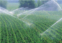 基于NB-IOT和LORA无线通讯技术的农田灌溉系统方案